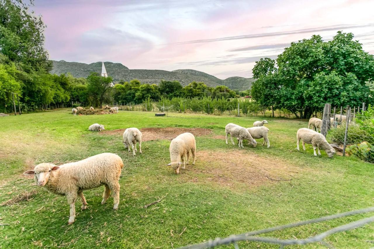 Die Fonteine Country Guesthouse And Glamping Oudtshoorn Buitenkant foto
