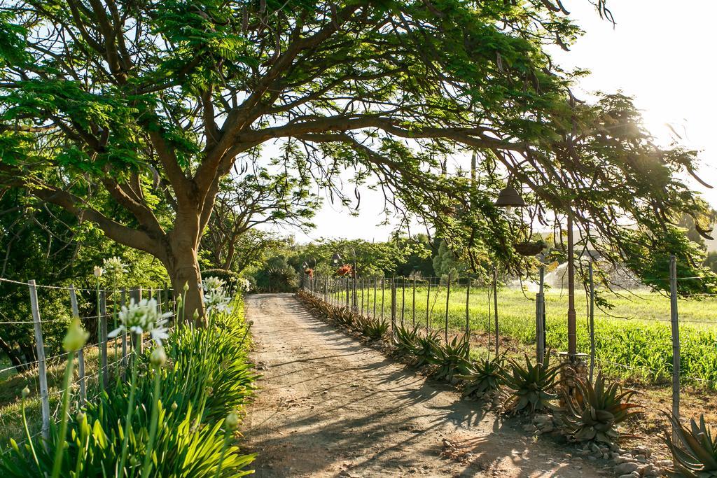 Die Fonteine Country Guesthouse And Glamping Oudtshoorn Buitenkant foto