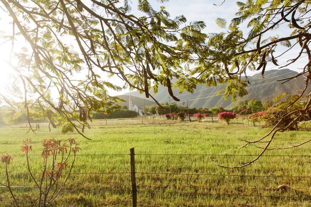Die Fonteine Country Guesthouse And Glamping Oudtshoorn Buitenkant foto