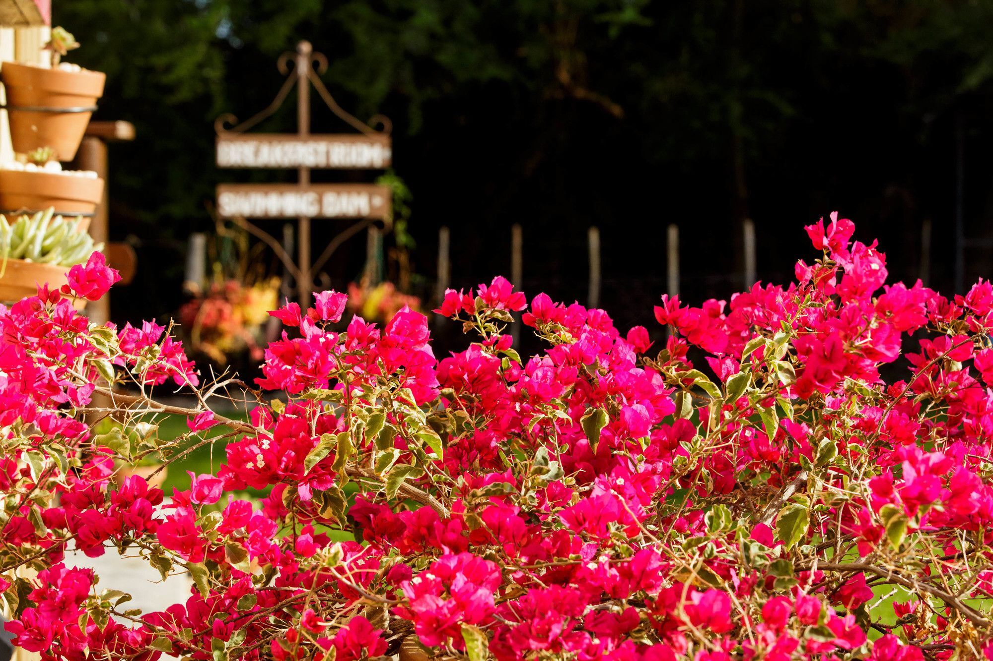 Die Fonteine Country Guesthouse And Glamping Oudtshoorn Buitenkant foto